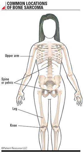 The soft tissue inside some of the bones is called what?