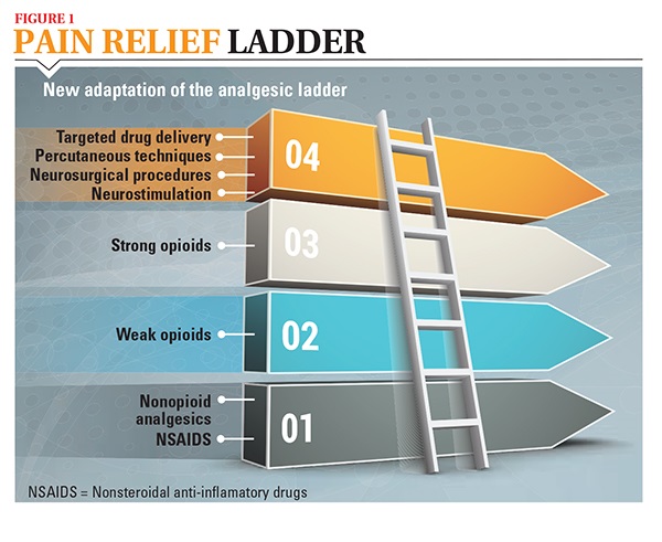 analgesic ladder